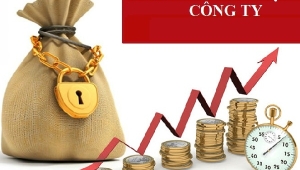 Tăng Vốn Điều Lệ